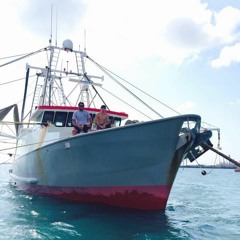 FV Advantage Theme Song