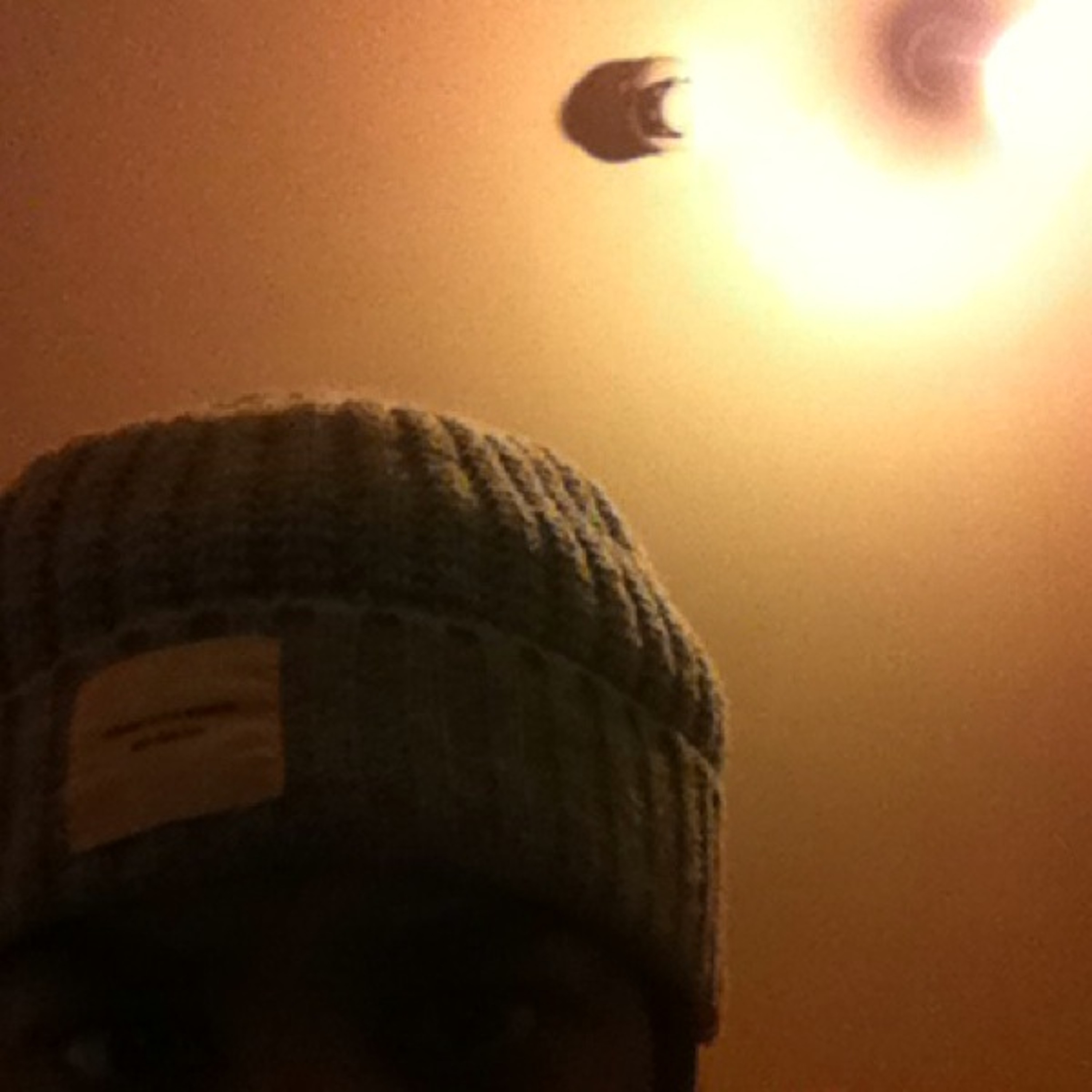 Young Trapper