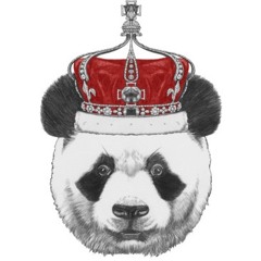 Panda- Produced by-Niqosstudio