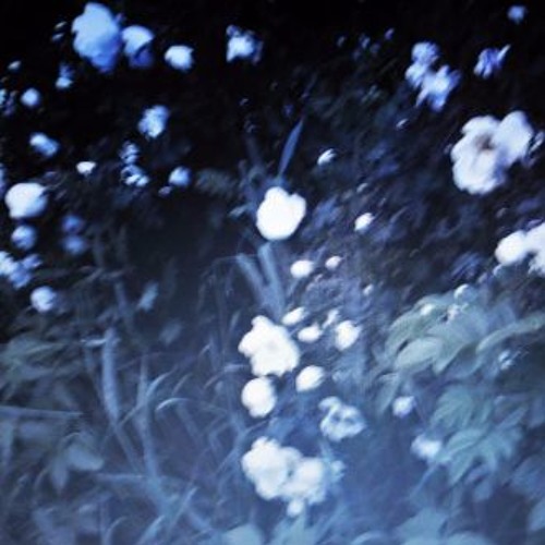 Madi Larson x MYSTXRIVL ~ LEFT BEHIND