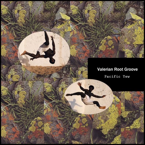 (((( Valerian Root Groove ))))