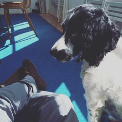 kapok choice may 2016