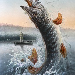 Hva Faen gør jeg nu(ingen laks)