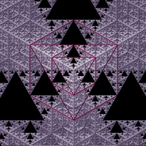 The Quantum Awakening