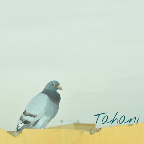 لشو عم دور على غيرو ...! في ناس كتير .. لكن بيصير مافي غيرو ♪