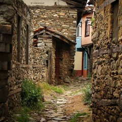 Elif Dedim