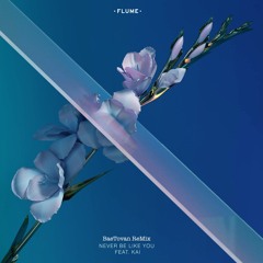 Flume - Never Be Like You (BaeTovan Flip)