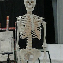 Strawberry Gashes (Jack off Jill cover) (demo)