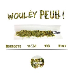 TS x MrSM x Wicky & Bigroots -- Wouléy Peuh -- (TRUCHAGANG)