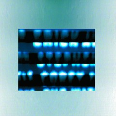 Celluloid (This Is A Void)