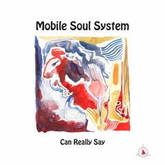 Mobile Soul System - Can Really Say (Original Mix)