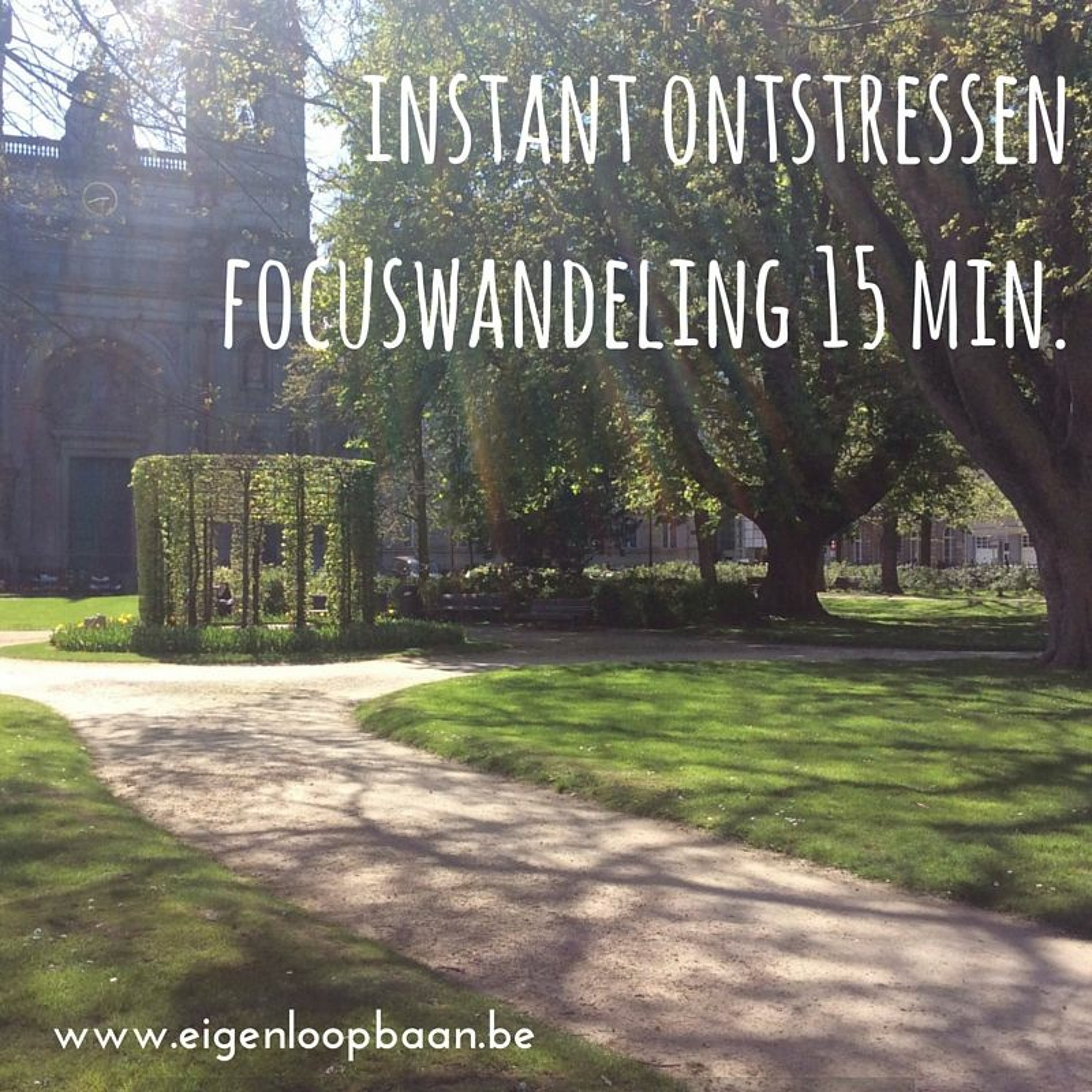 Outdoor loopbaan coaching