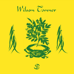 Wilson Tanner - Long Water ('69', Growing Bin Records, 2016)