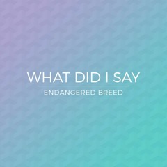 What Did I Say (Demo)
