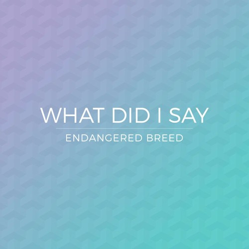 What Did I Say (Demo)