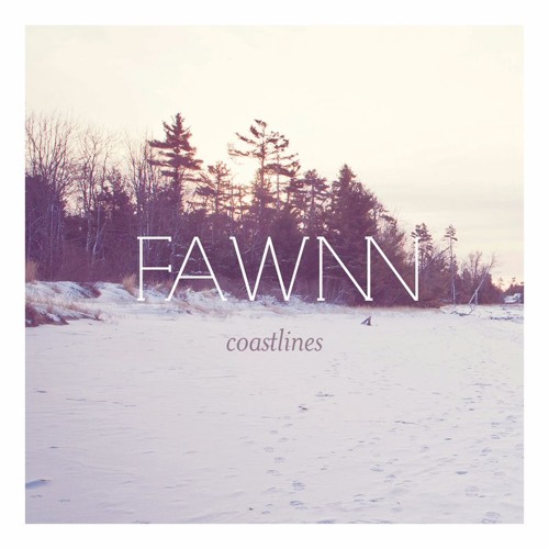 FAWNN - Cobra on the Beach