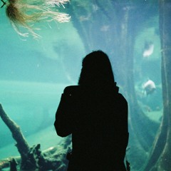 Everyone Is In Such A Hurry