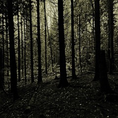 Hernan Cronner - Grafal