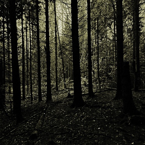 Hernan Cronner - Grafal