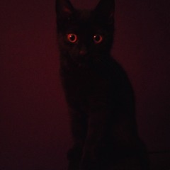 Masla.G & Evan Sbk - NYCHTA (unmixed)