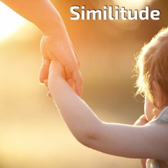 Similitude
