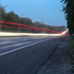 Movement Of Life
