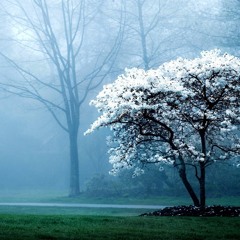 BoredOfCanada[2016mix]