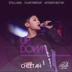 위아래-치타.VER