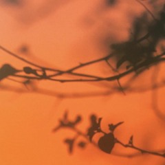 Orbit (Dissonance EP)