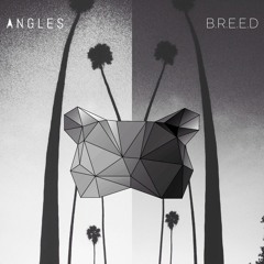 Angles - B.R.E.E.D (Free DL)