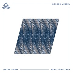 Golden Vessel - Never Know (ft. LASTLINGS)
