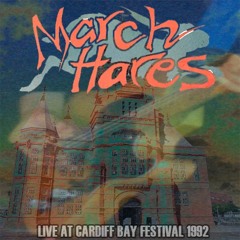 Live At Cardiff Bay Festival 1992 (Soundboard Recording)