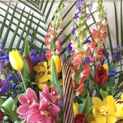 spring has sprung but i just can't feel it yet