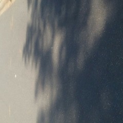 domo real ass shit.mp3