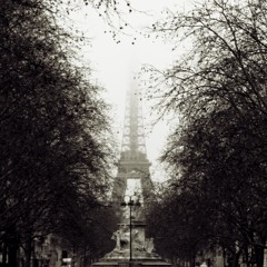 Paris 13 11 15