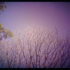 Return To Life