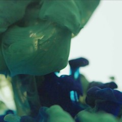 Singularity Music Excerpt
