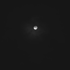 Darky