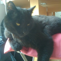 Thirty Seconds To Mars - A Modern Myth