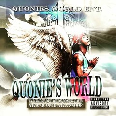 Yc X QuoniesWorld Intro