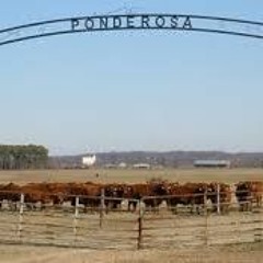 Bbyjoe x Ten$hin- Ponderosa [Prod. by Bbyjoe]