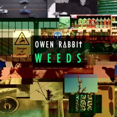 Owen Rabbit - Weeds