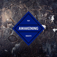 2. Awakening