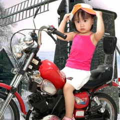 Cung đàn mới - Chính Nghĩa - Hồng Cúc