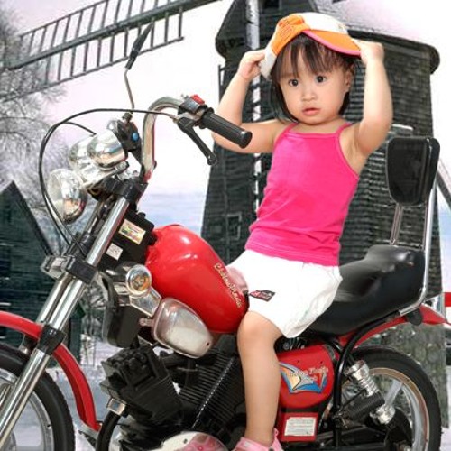 Cung đàn mới - Chính Nghĩa - Hồng Cúc