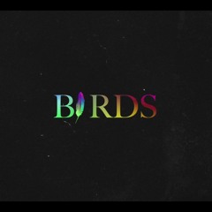 Birds (Live Version) - Coldplay