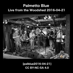 Palmetto Blue Live from the Woodshed [palblue2016-04-16]