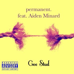 permanent. Feat. Aiden Mnard