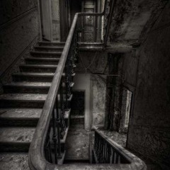 Last House On 44th Street