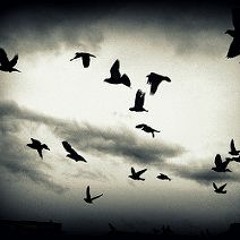 Going In For The Kill (Bonus Track)